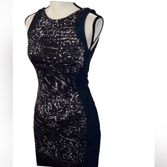 Antonio Berardi Abstract Sleeveless Crepe Sheath Dress - Picture 6 of 11